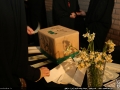 IMG_8706 copy