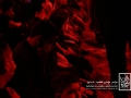IMG_2211 copy