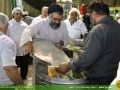 IMG_0509 copy