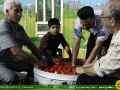 IMG_0658 copy