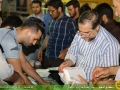 IMG_0703 copy