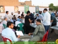 IMG_1356 copy