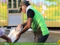 IMG_1387 copy