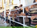 IMG_1445 copy