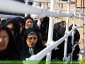 IMG_1594 copy