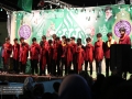 IMG_7454 copy