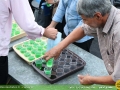 IMG_0267 copy