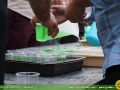 IMG_0302 copy