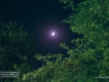 M1401-N07 (74)
