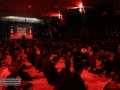 IMG_7998 copy