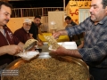 IMG_8008 copy