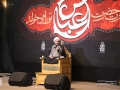 IMG_3587 copy