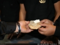 IMG_0257 copy