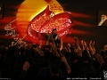 IMG_0455 copy