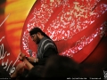 IMG_0835 copy