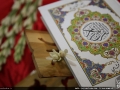 M97_shab4 (49)