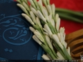IMG_0236 copy