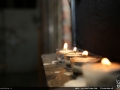 IMG_0252 copy