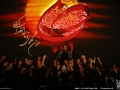 IMG_0320 copy