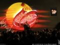 IMG_4732 copy