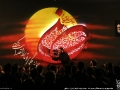 IMG_4738 copy