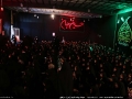 IMG_2895 copy
