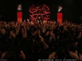IMG_3255 copy