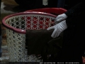 IMG_7020 copy