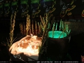 IMG_3517 copy