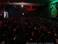 IMG_1968 copy