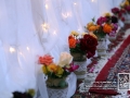 IMG_1467 copy