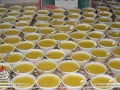 Moharram95_shabe_08-(21)