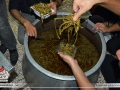 Moharram95_shabe_08-(23)