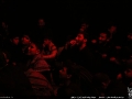 IMG_4904 copy