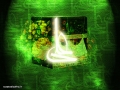 imam_ali_28